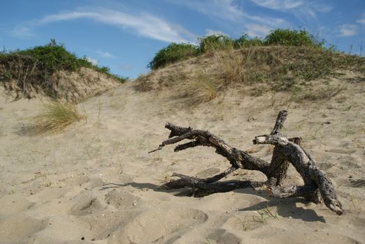 Dune du Pilat, Arcachon, France