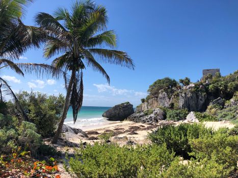 Selva du Yucatan, Mexique